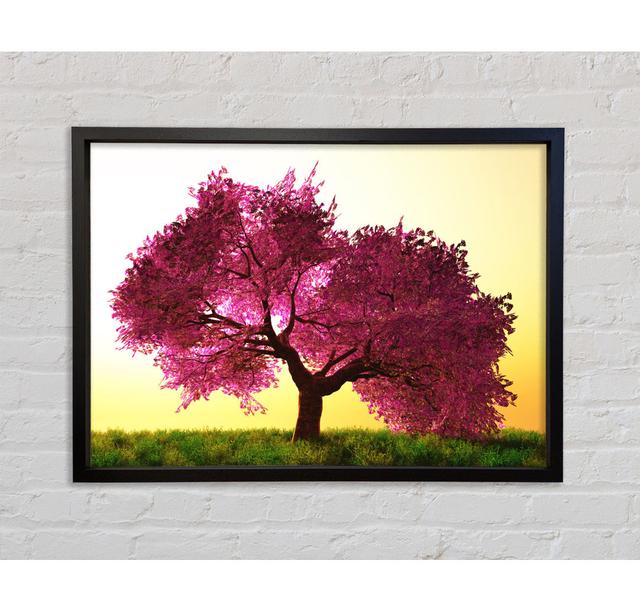 The Pink Tree Blossom Hilltop Framed Print Bright Star Size: 84.1cm H x 118.9cm W on Productcaster.