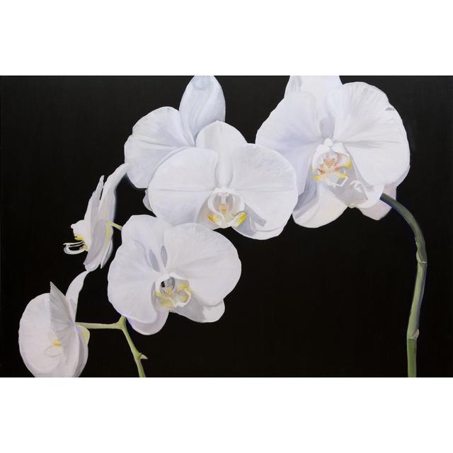 Dramatic Orchids I - Wrapped Canvas Photograph Marlow Home Co. Size: 51cm H x 76cm W on Productcaster.