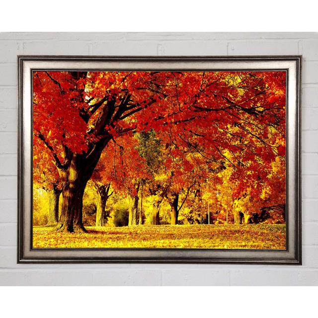 Golden Woodland Walk - Single Picture Frame Art Prints Union Rustic Size: 84.1cm H x 118.9cm W x 1.5cm D on Productcaster.