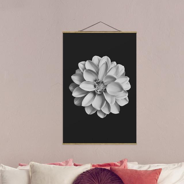 Stoffbild Dahlia Black White Mercer41 Größe: 52,5 cm H x 35 cm B x 0,3 cm T on Productcaster.