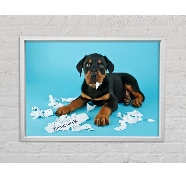 Naughty Rottweiler Puppy Dog Framed Print Ebern Designs Size: 100cm H x 141.4cm W x 3.3cm D on Productcaster.