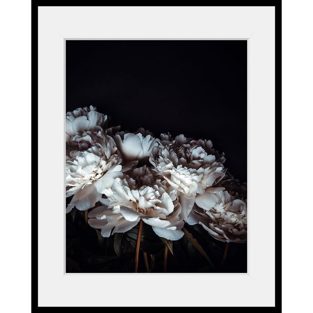 'Rose' Framed Graphic Art Ebern Designs on Productcaster.