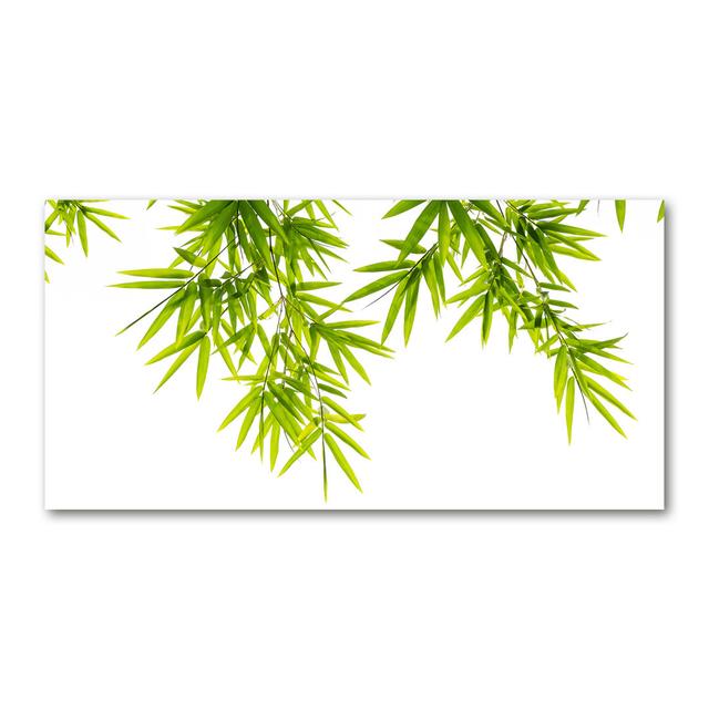 Bamboo Leaves - Kunstdrucke auf Leinwand Sansibar Home on Productcaster.