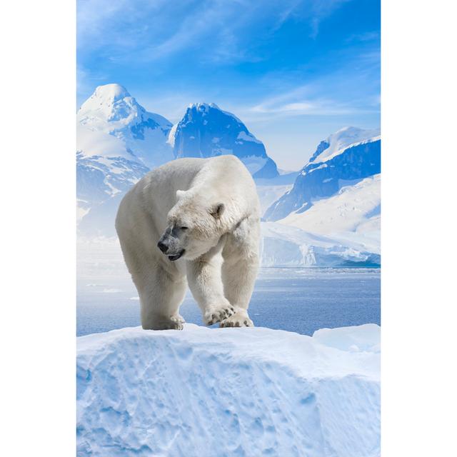 Arctic Polar Bear by Grafissimo - No Frame Art Prints on Canvas 17 Stories Size: 30cm H x 20cm W on Productcaster.