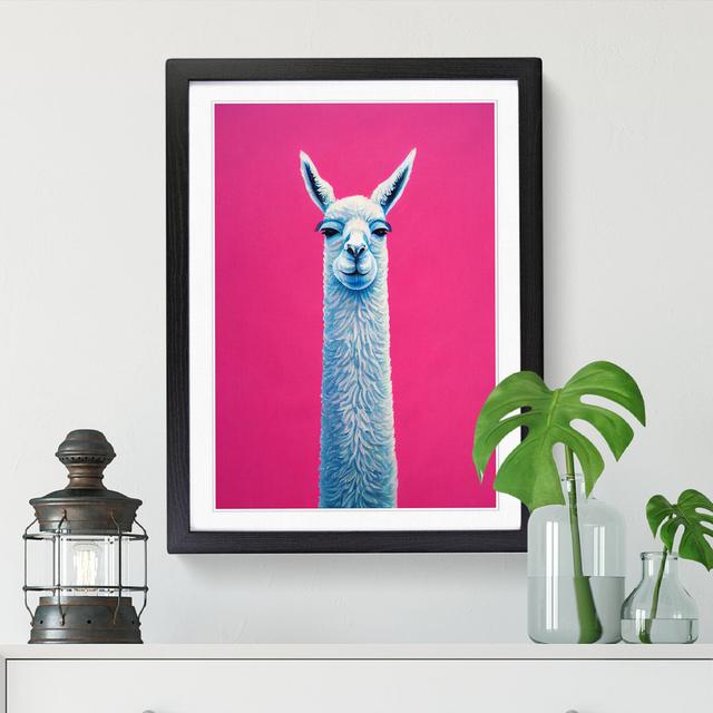 Llama Portrait Vol.3 - Print Isabelle & Max Size: 46cm H x 34cm W x 2cm D, Frame Option: Walnut on Productcaster.