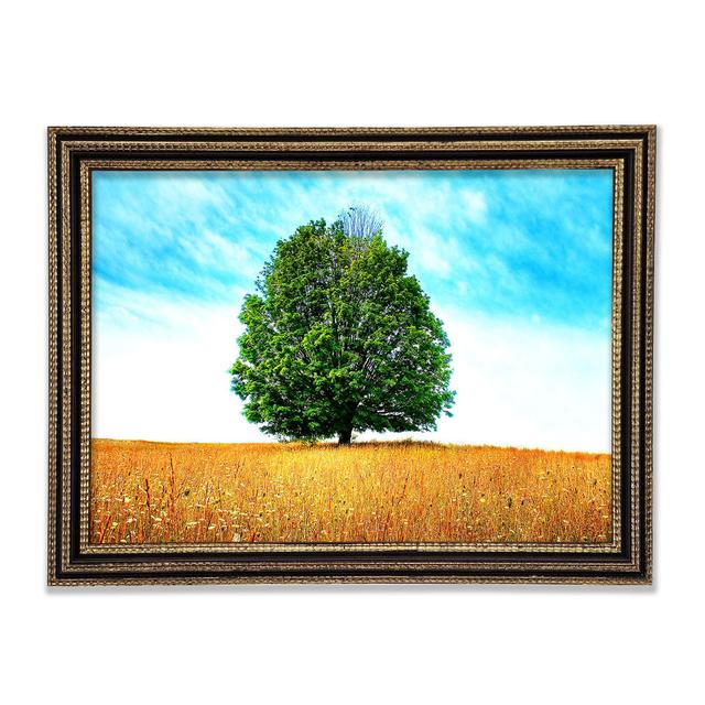 Late Summer - Single Picture Frame Art Prints Ebern Designs Size: 59.7cm H x 84.1cm W x 3cm D, Format: Rembrandt Black/Gold Framed Paper on Productcaster.