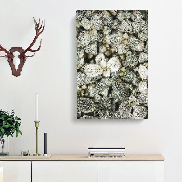 Plant Leaves Abstract - Wrapped Canvas Print East Urban Home Size: 76cm H x 50cm W x 3cm D on Productcaster.