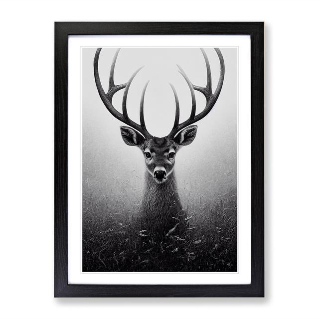 Arkady Curious Deer - Picture Frame Print Alpen Home Frame Option: Walnut, Size: 64cm H x 46cm W x 2cm D on Productcaster.