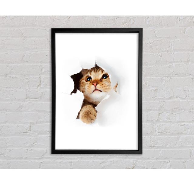 Cat Breakthrough Framed Print Bright Star Size: 59.7cm H x 84.1cm W on Productcaster.