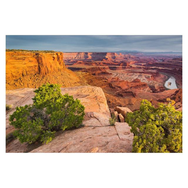 Dead Horse Point Canyonlands National Park USA 2.25m x 3.36m Textured Matt Peel & Stick Wall Mural East Urban Home Size: 225cm L x 336cm W on Productcaster.