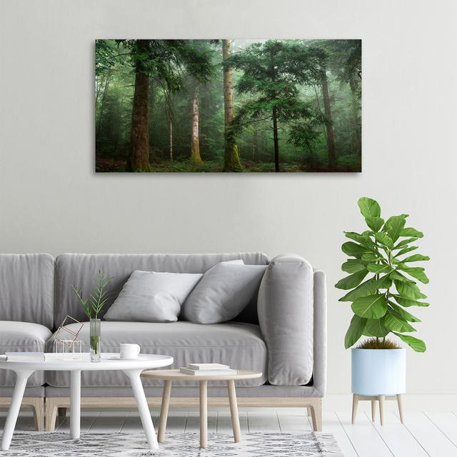 Nebel im Wald - Kunstdrucke auf Leinwand - Wrapped Canvas Alpen Home on Productcaster.