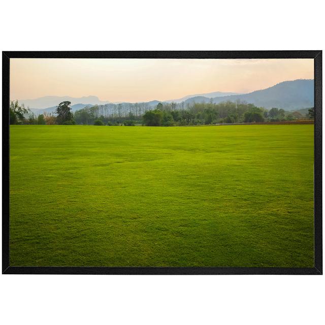 Bridgeville Background Image Of Lush Grass Field - Single Picture Frame Print Latitude Run Size: 41cm H x 61cm W x 4cm D, Frame Option: Black Framed on Productcaster.