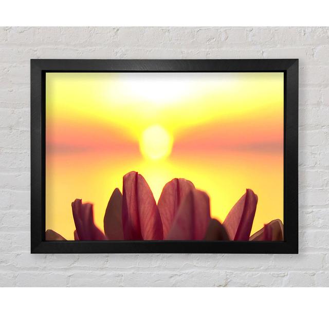 Life Source - Single Picture Frame Art Prints Bright Star Size: 59.7cm H x 84.1cm W x 3.4cm D on Productcaster.