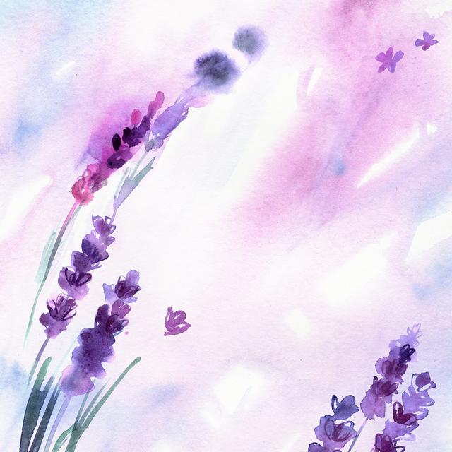 Hand Painted Lavender Flowers by Elena Efremova - Wrapped Canvas Painting Rosalind Wheeler Size: 122cm H x 122cm W x 3.8cm D on Productcaster.