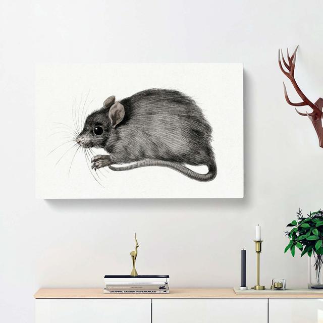 A Mouse by Jean Bernard - Wrapped Canvas Painting Print East Urban Home Size: 50cm H x 76cm W x 3cm D on Productcaster.