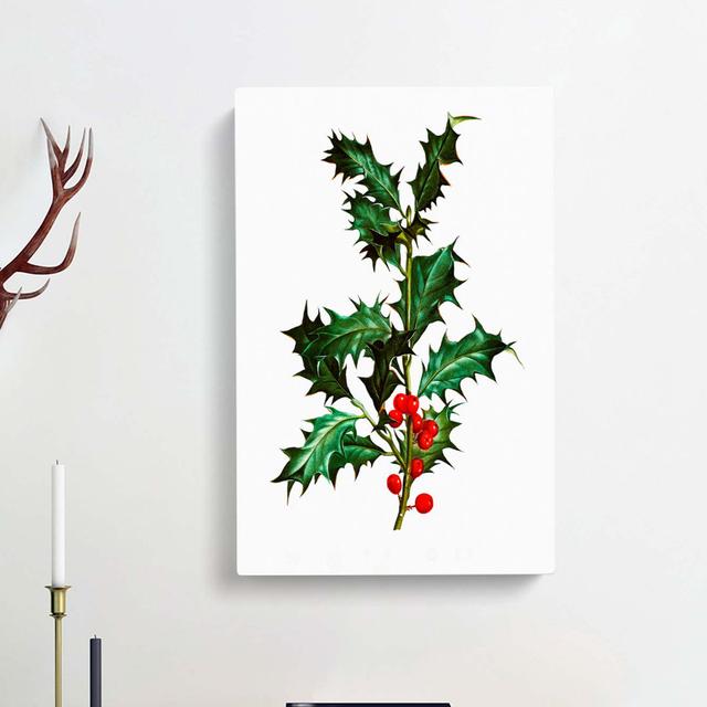 Holly Branch Berries by Pierre-Joseph Redoute - Wrapped Canvas Painting Print East Urban Home Size: 76cm H x 50cm W x 3cm D on Productcaster.