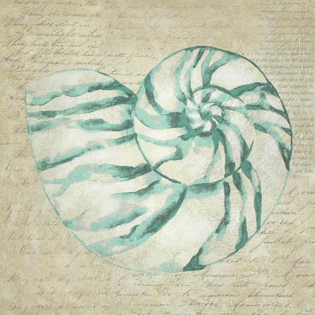 Seafoam Shell I by Chariklia Zarris - Wrapped Canvas Painting Highland Dunes Size: 51cm H x 51cm W on Productcaster.