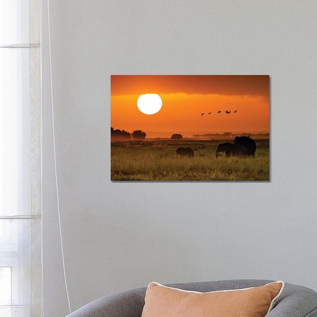 African Elephants Walking At Golden Sunrise II by Susan Richey - Gallery-Wrapped Canvas Giclée on Canvas Latitude Run Size: 45.72cm H x 66.04cm W x 3. on Productcaster.