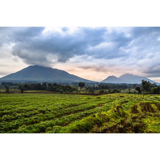 Leinwandbild Virunga Volcano National Park Landscape with Green Farmland Fields in the Foreground, Rwanda Union Rustic Größe: 81cm H x 122cm B on Productcaster.