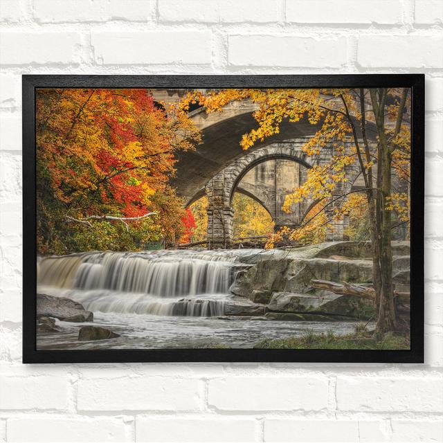 Bridge in the Forest - Closed Corner Frame Art Print on Wood Latitude Run Size: 21cm H x 29.7cm W on Productcaster.