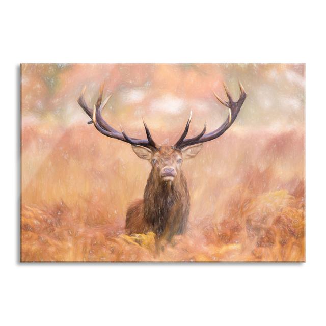 Deer in a Field - Unframed Photograph on Glass Alpen Home Size: 60cm H x 80cm W x 0.4cm D on Productcaster.