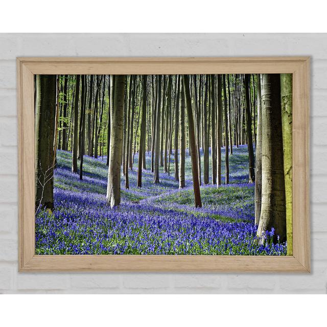 Stunning Beautiful Lilac Woodland Walk - Single Picture Frame Art Prints Union Rustic Size: 21cm H x 29.7cm W x 1.5cm D on Productcaster.