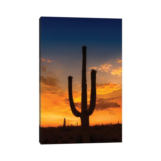 Bright Sunset at Saguaro National Park by Michael Creese - Wrapped Canvas Photograph Natur Pur Size: 45.72cm H x 30.48cm W x 1.905cm D on Productcaster.