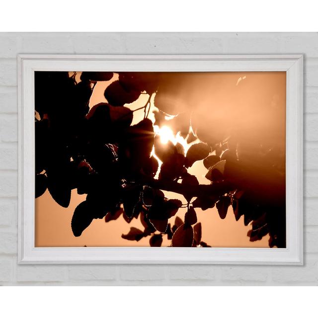 Sunlight Through Leaves Framed Print Bright Star Size: 84.1cm H x 59.7cm W x 1.5cm D on Productcaster.