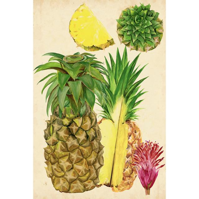 Tropical Pineapple Study I by Melissa Wang - Wrapped Canvas Art Prints 17 Stories Size: 91cm H x 61cm W x 3.8cm D on Productcaster.