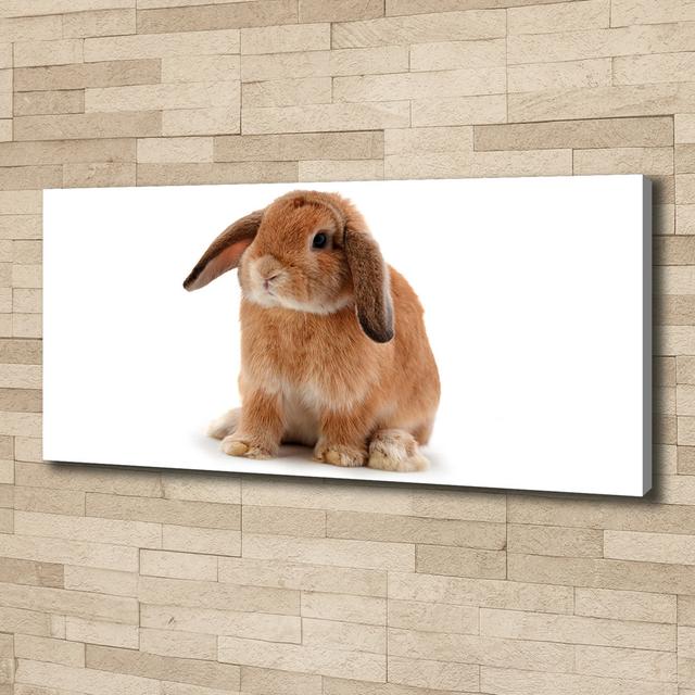 Red-Haired Rabbit - Unframed Art Prints on Canvas August Grove on Productcaster.