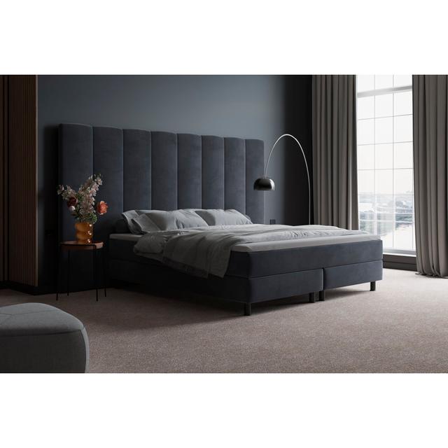 Echtes Boxspringbett Femi mit Premium Visco Topper, mit Samtstoff bezogen Canora Grey Größe: 180 x 200 cm, Matratzenhärte: H2 - bis zu ca. 75 kg / H3 on Productcaster.