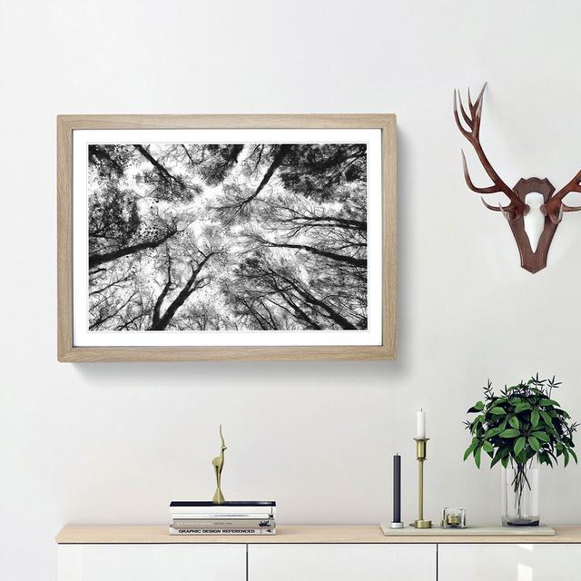 Vaulted Tree Branches - Picture Frame Painting Print East Urban Home Size: 33cm H x 45cm W x 2cm D, Frame Option: Oak Framed on Productcaster.