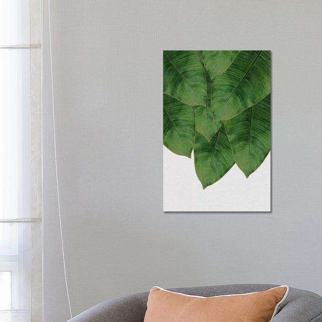 Banana Leaf III by Orara Studio - Wrapped Canvas Painting Bay Isle Home Size: 66.04cm H x 45.72cm W x 1.91cm D on Productcaster.