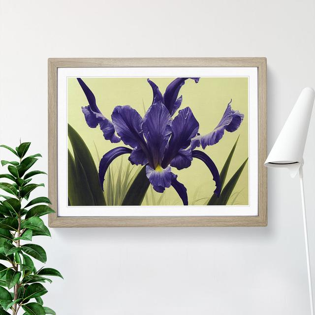 Cute Iris Flowers - Picture Frame Painting ClassicLiving Size: 25cm H x 34cm W x 2cm D, Frame Colour: Oak on Productcaster.