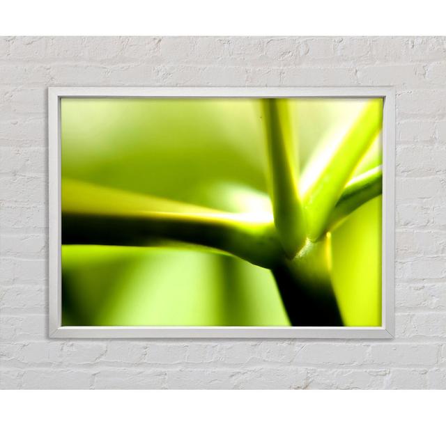 Green Stem - Single Picture Frame Art Prints on Canvas Bright Star Size: 100cm H x 141.4cm W x 3.3cm D on Productcaster.