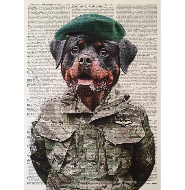 A3 Rottweiler Dog Dictionary Print - Royal Marine Print - Army Military Soldier Dog Maturi on Productcaster.