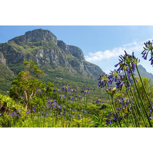 Lepore Fernwood Peak by JohnDPorter - Wrapped Canvas Print Alpen Home Size: 20cm H x 30cm W x 3.8cm D on Productcaster.