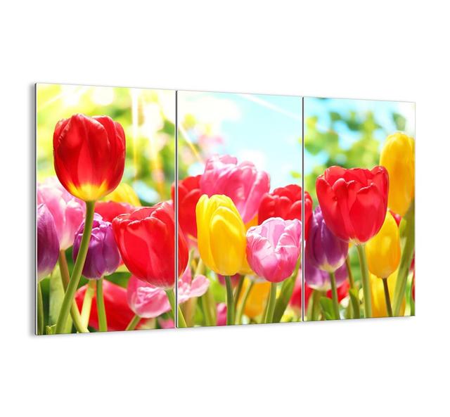 It's Us, the Colours of May! - 3 Piece Unframed Photograph Print Set on Glass Ebern Designs Size: 110cm H x 165cm W x 1.8cm D on Productcaster.