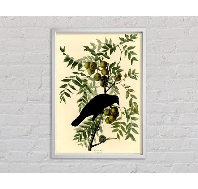 Audubon American Crow Plate 156 - Single Picture Frame Art Prints on Canvas Rosalind Wheeler Size: 141.4cm H x 100.1cm W x 3.3cm D on Productcaster.