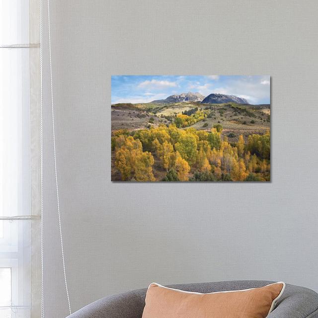 Quaking Aspen Forest And Chair Mountain In Autumn by Tim Fitzharris - Wrapped Canvas Print Alpen Home Size: 45.72cm H x 66.04cm W x 1.91cm D on Productcaster.