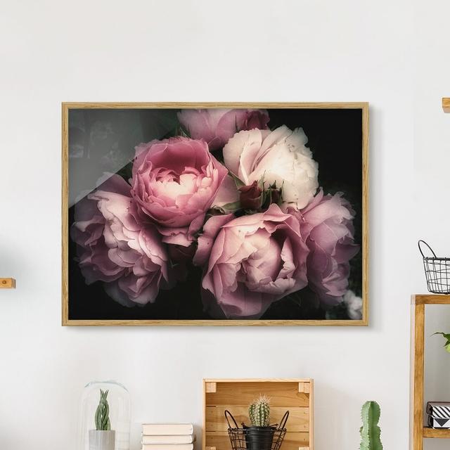 Peonies Before Black Shabby - Picture Frame Graphic Art Rosdorf Park Format: Brown Framed, Size: 50cm H x 70cm W x 2cm D, Matte Colour: No Matte on Productcaster.