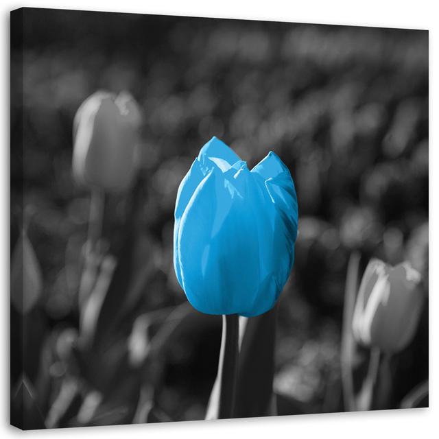 Leinwandbild Blue tulips in grey Ebern Designs on Productcaster.