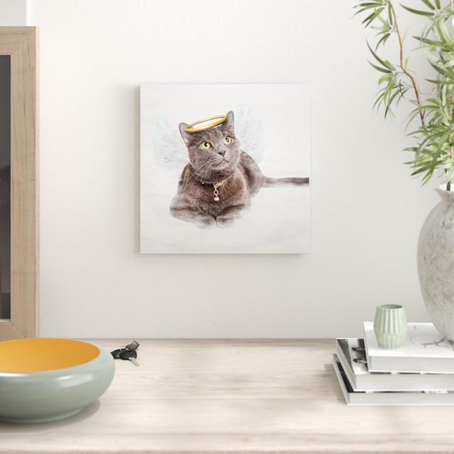 Leinwandbild Katzen-Engel auf einer Wolke im Himmel East Urban Home Größe: 70 cm H x 70 cm B on Productcaster.