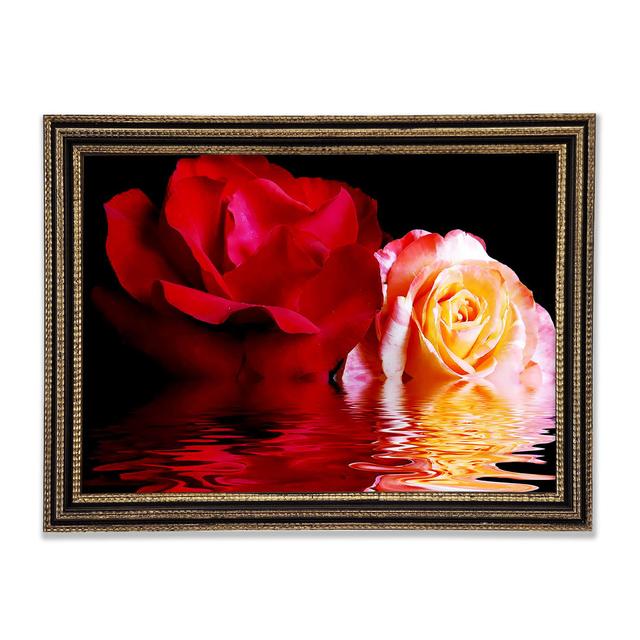 The Floating Roses Framed Print Ebern Designs Size: 42cm H x 59.7cm W on Productcaster.