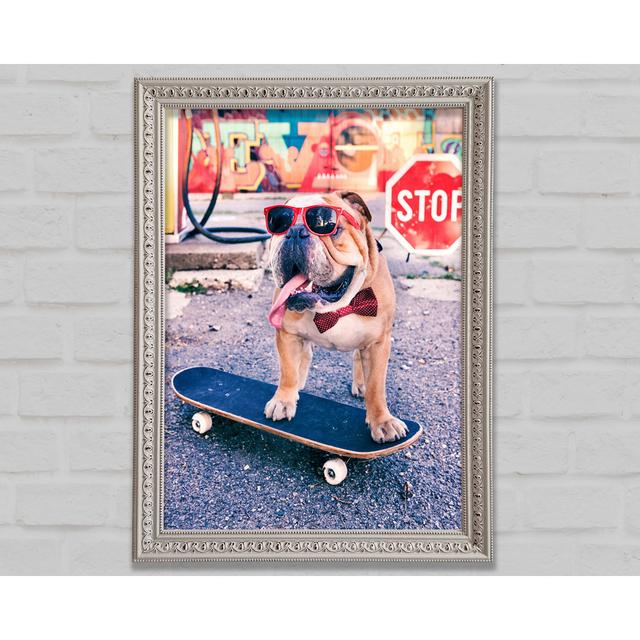 English Bulldog Skateboarding - Single Picture Frame Art Prints Bright Star Size: 29.1cm H x 21cm W x 3cm D on Productcaster.