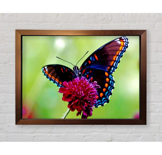 Single Picture Frame Art Prints Brambly Cottage Size: 42.1cm H x 59.7cm W on Productcaster.