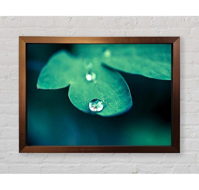 Drop Of Water Macro - Single Picture Frame Art Prints Bright Star Size: 42cm H x 59.7cm W on Productcaster.