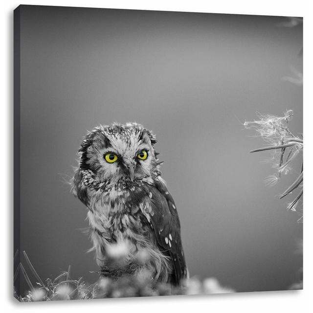 Fotodruck Small Curious Owl East Urban Home Größe: 60 cm H x 60 cm B on Productcaster.