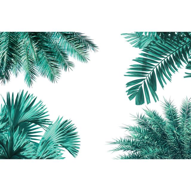 Different Tropical Jungle Palm Leaf Isolated On White Bay Isle Home Size: 20cm H x 30cm W x 3.8cm D on Productcaster.