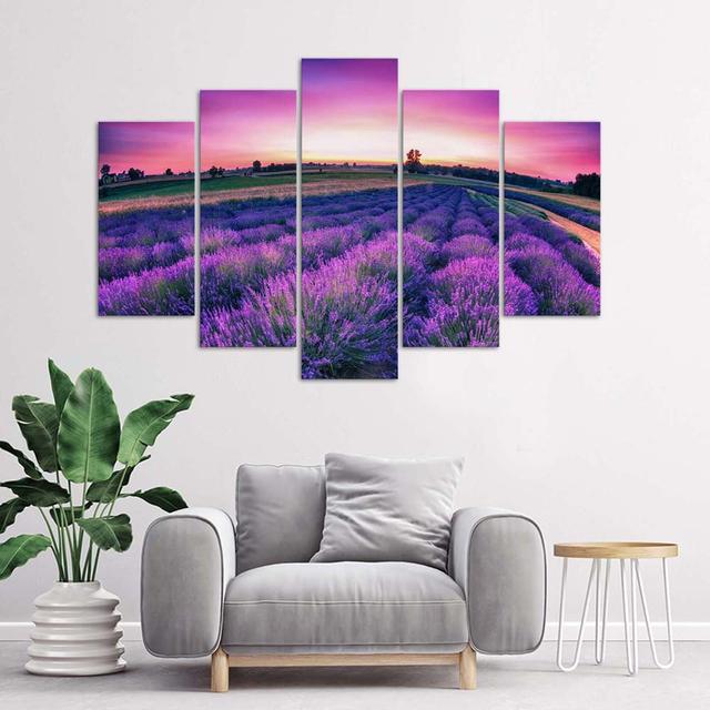 Leinwandbild Lavender Purple Field Maison Alouette Größe: 70 cm H x 100 cm B on Productcaster.